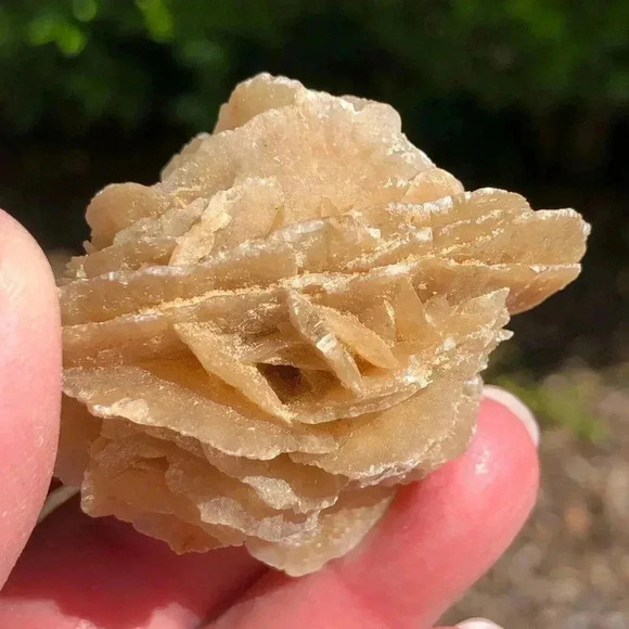Gypsum Crystal Desert Rose - Picture 3 of 6